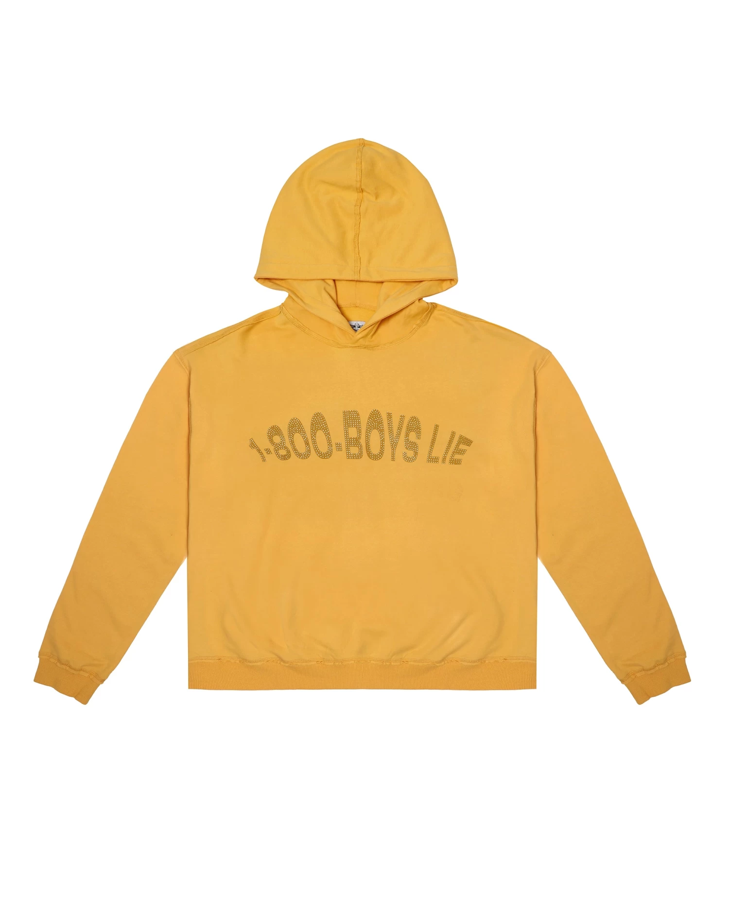 BOYS LIE X Blaze 1-800 Remix Hoodie - Image 7