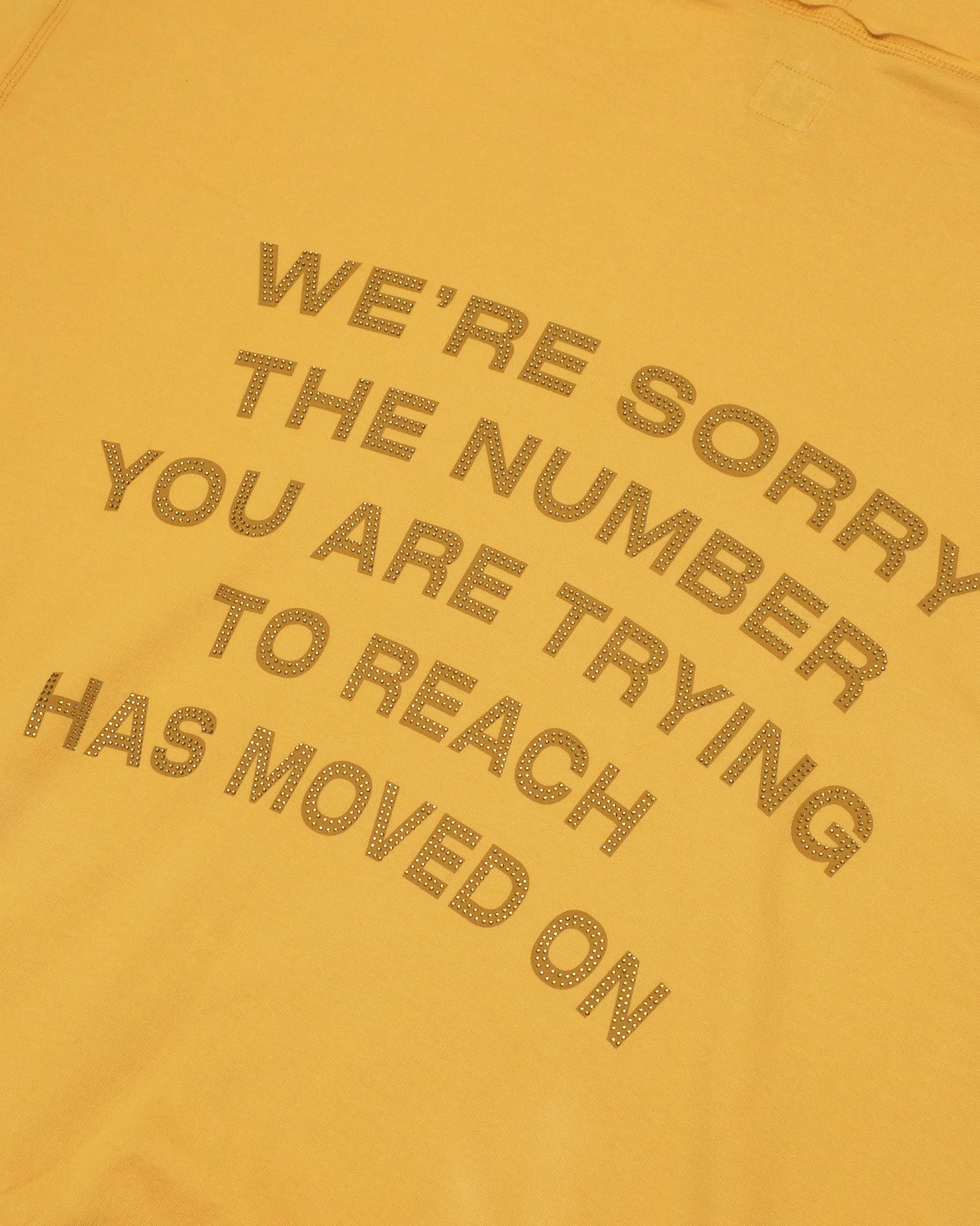 BOYS LIE X Blaze 1-800 Remix Hoodie - Image 10